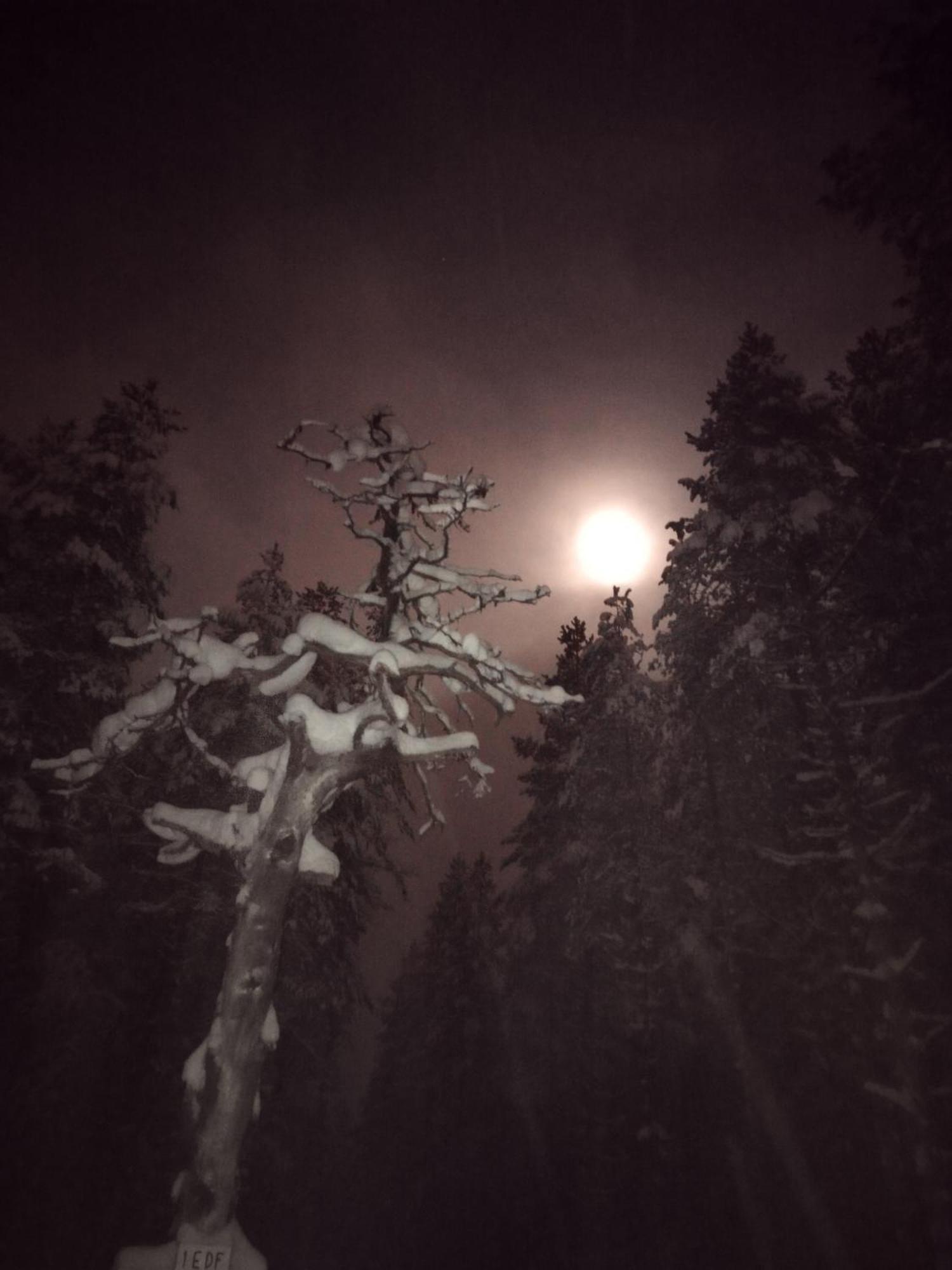 Vihreae Helmi Villa Kuusamo Exteriör bild