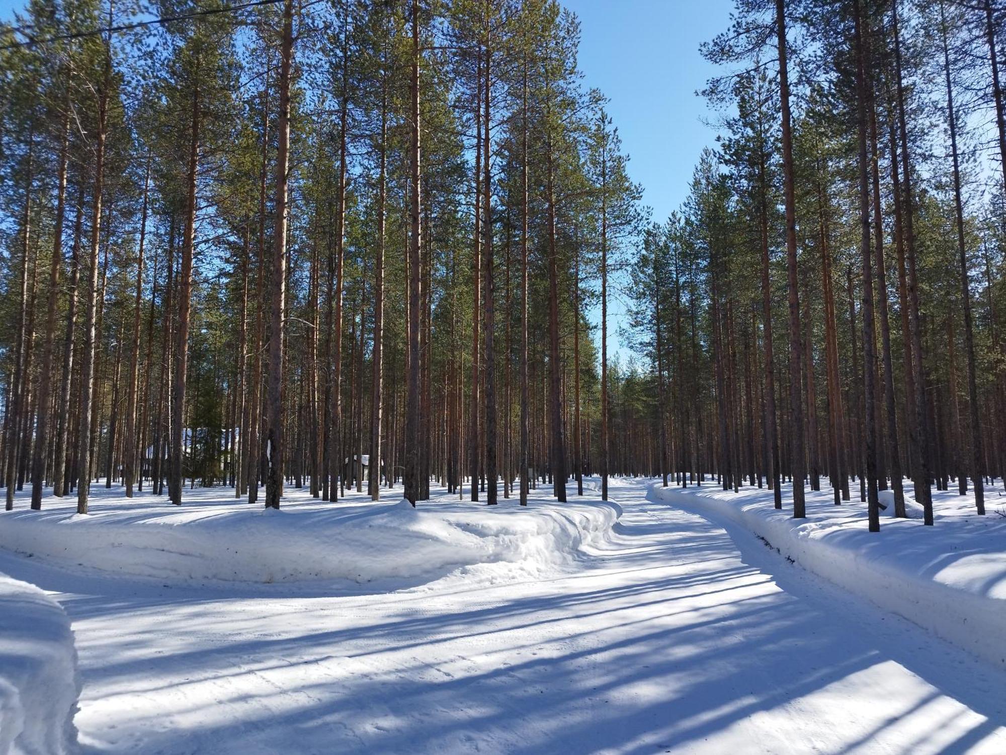 Vihreae Helmi Villa Kuusamo Exteriör bild
