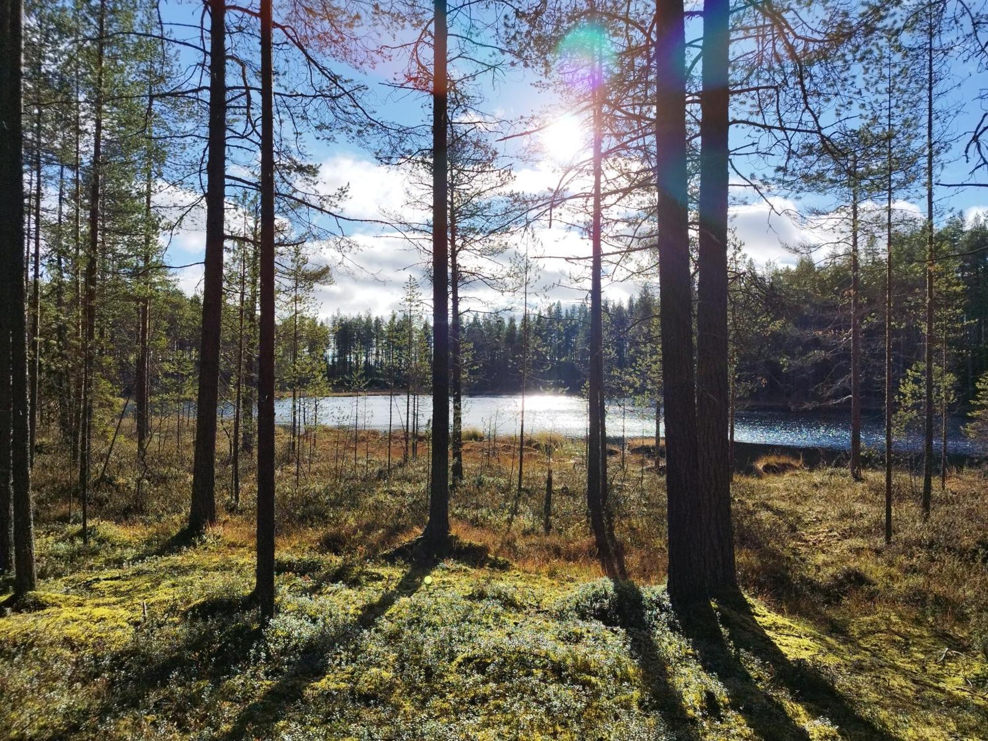Vihreae Helmi Villa Kuusamo Exteriör bild